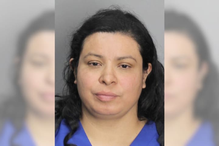 Levittown Woman Drives Drunk With 2 Children, Expired Permit: Police