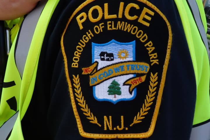 HERO IN BLUE: Elmwood Park Police Officer Stops Boy, 15, From Suicide Jump