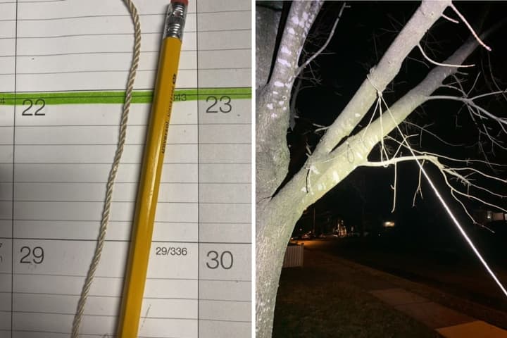 North Jersey Mayor Insists Twisted Twine Tied To Tree Is A Noose