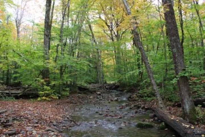 Lost Hikers Rescued By Forest Rangers In Hudson Valley