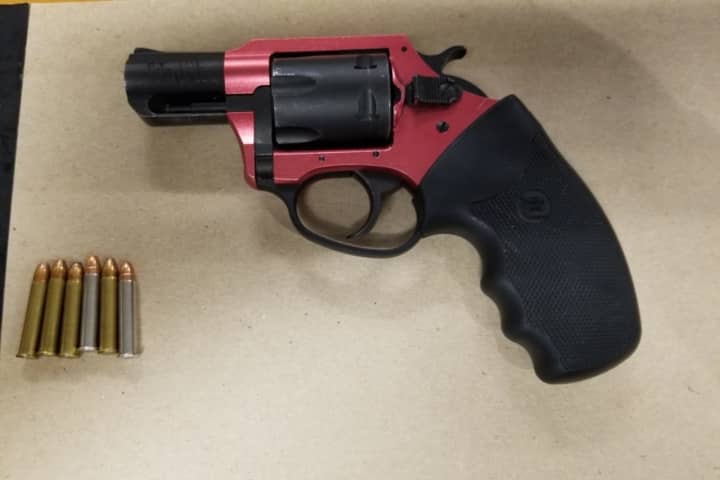 Lynbrook Man Asleep On Shoulder Of Parkway Nabbed With Loaded Gun, Police Say