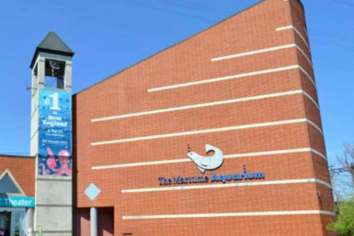 $34.5M Plan To Replace IMAX Theater At Maritime Aquarium Still Alive