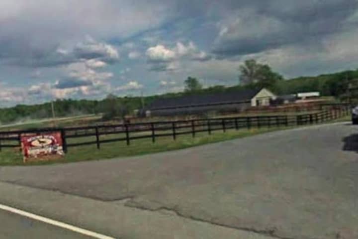 28 Horses Killed In Orange County, N.Y. Barn Fire