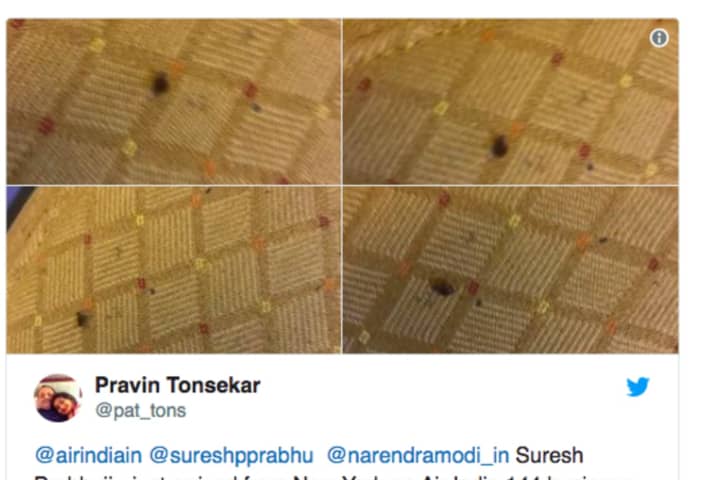 Bed Bug Infestation Reported On Air India Flights From Newark