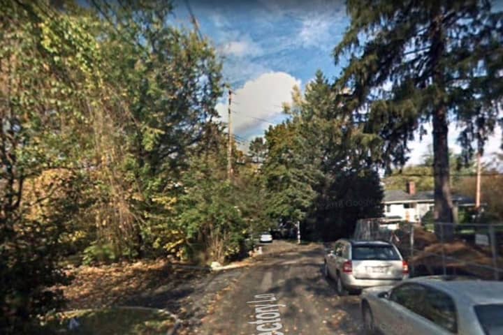 Police Investigate Attempted Larcenies From Parked Cars In Westchester