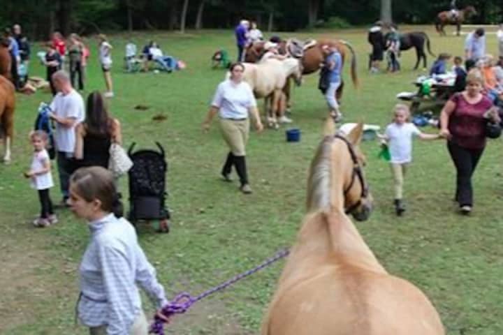 48th Annual Horse Show & Country Fair In Peekskill