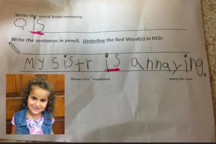 Bergen County 6-Year-Old Blasts Sister In Grammar Lesson, Nails It