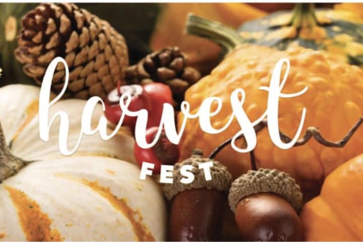Domestic Violence Crisis Center Representing 7 Fairfield County Towns To Hold First HarvestFest