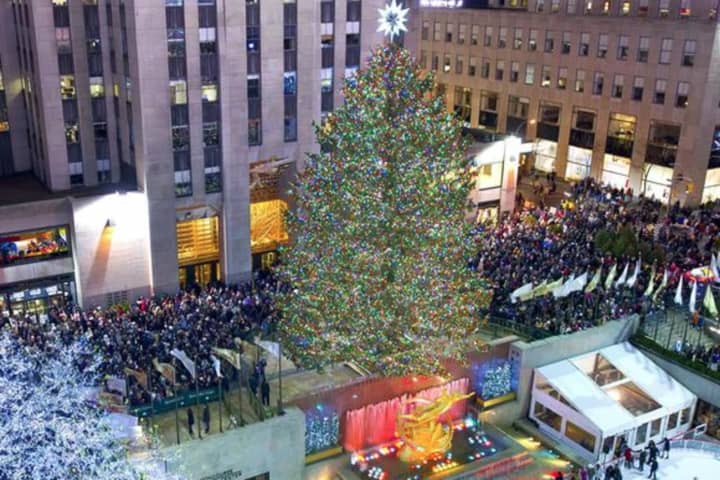 Rockefeller Center Christmas Tree Will Come From This Orange County Hamlet