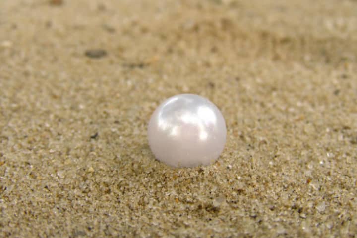 Edgewater Man Finds Pea-Sized Pearl In Lunch At Grand Central Station