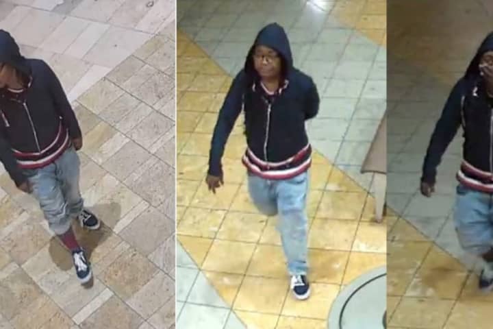 Know Her? Police Seek To ID Jewelry Store Burglary Suspect