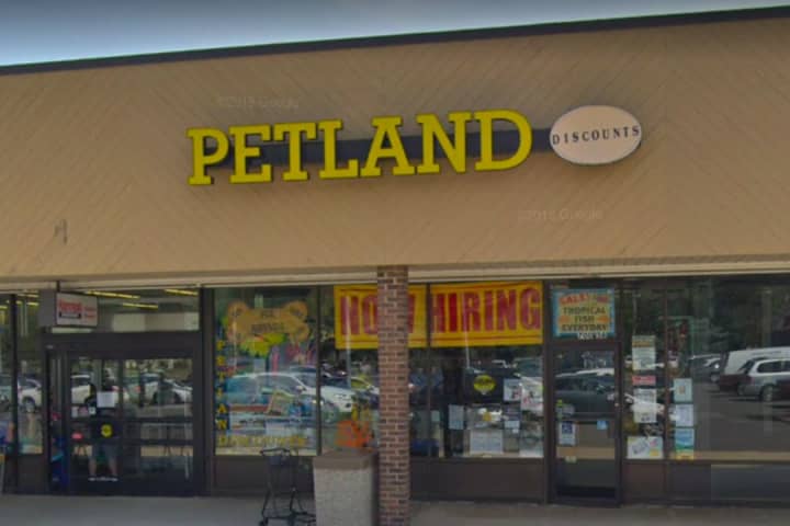 Owner's Death Puts Petland Out Of Business