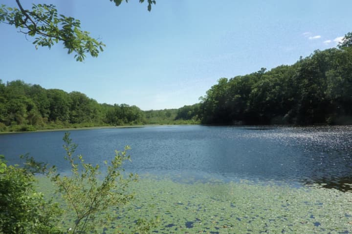 Teens Rescued After Saving Dog At Northern Westchester Lake