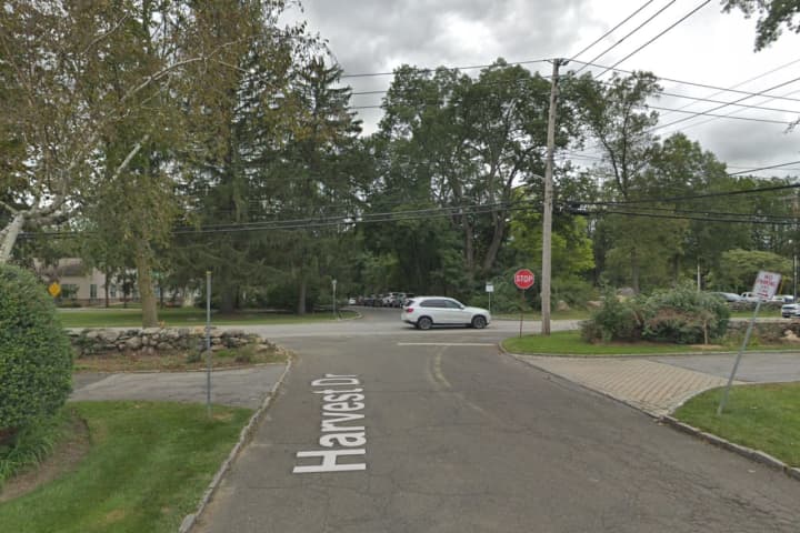 Mamaroneck Man Arrested After Struggling With Police Following Car Crash