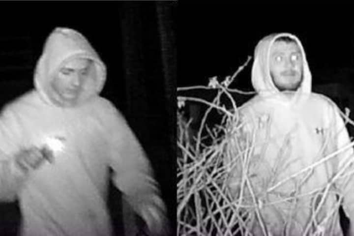 Know Them? Vandals Break Into Nature Center In Smithtown, Feed Animals Beer