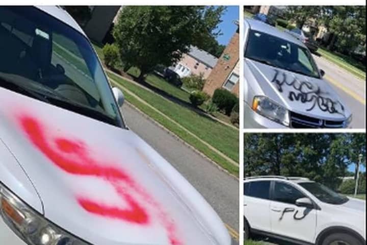 Drunk Teens Went On Swastika Spray-Painting Spree Across Mount Olive, Police Say