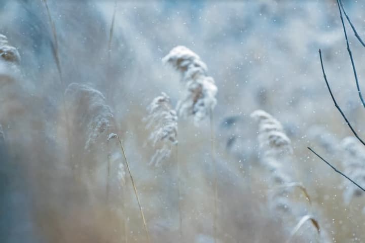 Fall's First Frost Advisory Issued For Northern Fairfield County