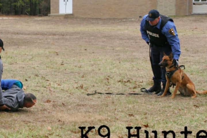 Red Bank's K-9 Hunter Excels On 'America's Top Dog'