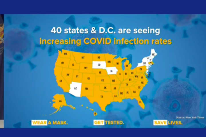 COVID-19: US Travel Bans Came Too Late For NYC Metro Area, CDC Says, Echoing Cuomo Statements