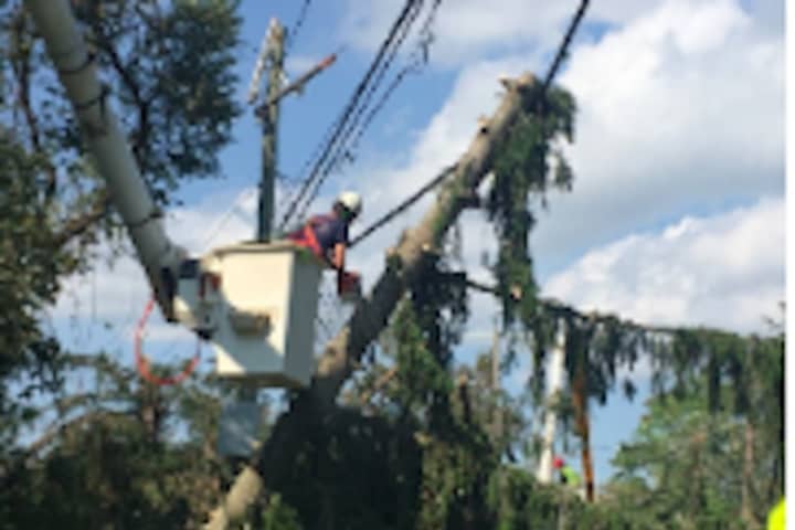 Eversource Removing Storm-Damaged Trees Across Connecticut