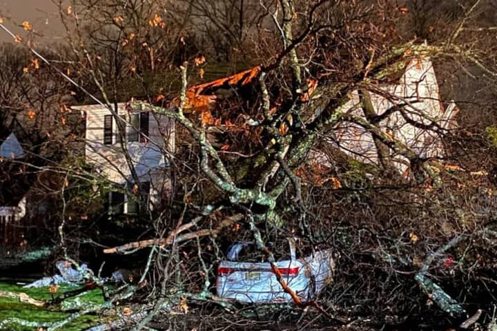 Storm Topples Tree Into Glen Rock Home