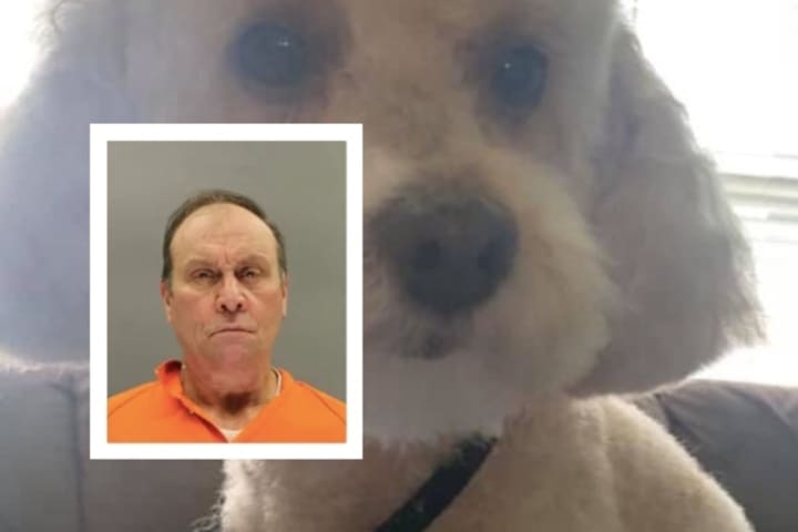 NJ Man Known As 'Wild Willie' Sentenced For Shooting Neighbor's Dog In Head