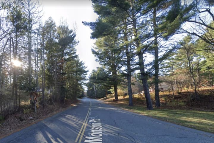 Police Search For Person Who Dumped Dead Animals In Hampden County