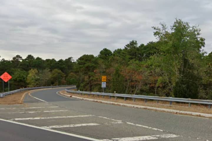 7 Dead Puppies Dropped On Side Of South Jersey Highway