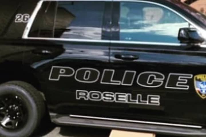 Pedestrian Crash Closes Roselle Street