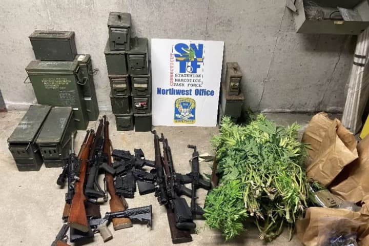 Guns, Ammo, 100 Marijuana Plants Seized In Bust At CT Grow House, Police Say