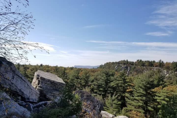 Hiker Dies After Falling 20 Feet At Ulster County Preserve