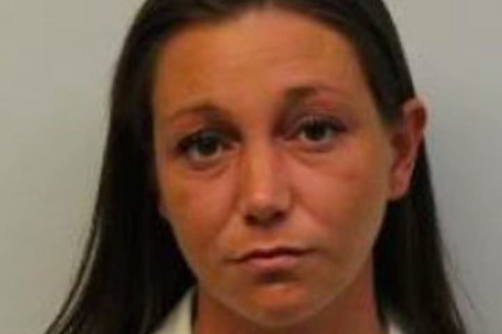 Jersey Shore Woman, 30, Indicted For Abandoning 3 Dogs At Vacant House, Ocean Prosecutor Says