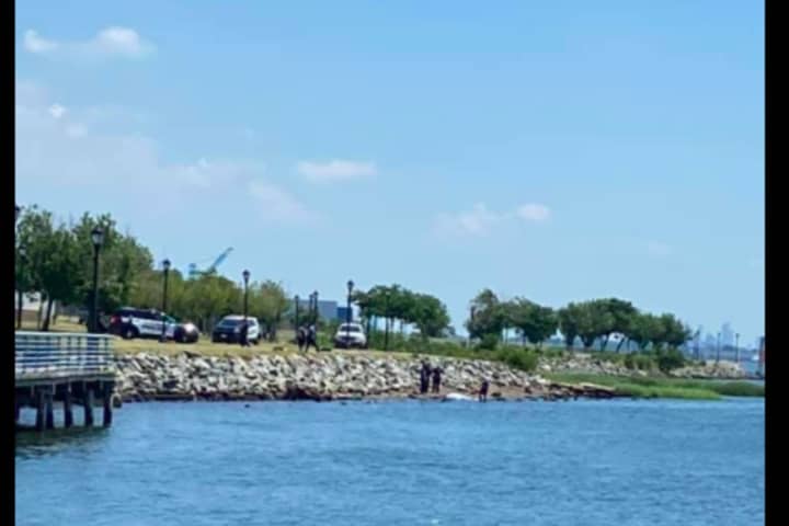 Body On Elizabeth Waterfront May Be Missing Jumper, Police Say