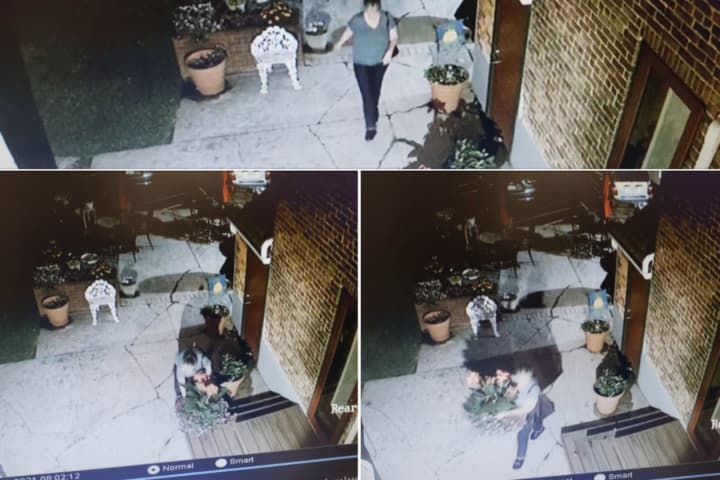 RECOGNIZE HER? Police Seek ID For Porch Planter Thief In Hellertown