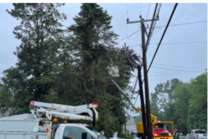 Downed Tree Causes Road Closure In Pound Ridge