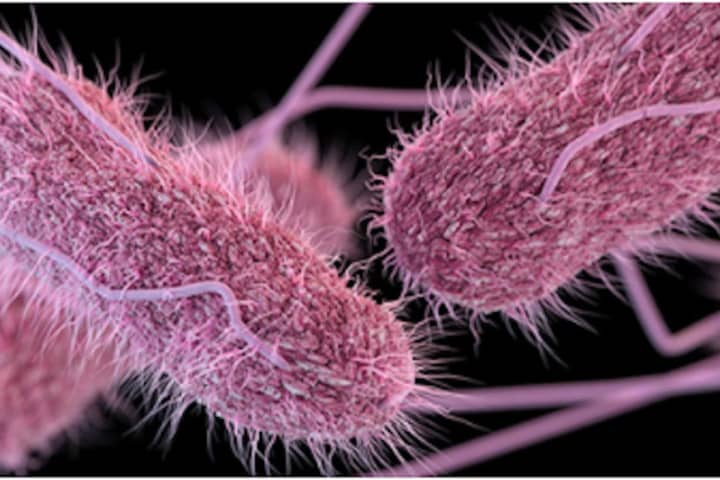 CDC Issues Alert For New Salmonella Outbreak