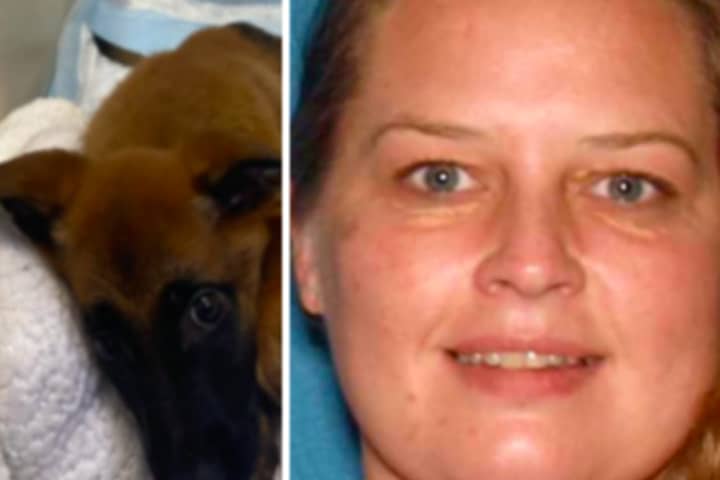 NJ Woman Who Abandoned Dogs Tethered To Trees Faces Charges In 3 Towns: Prosecutor