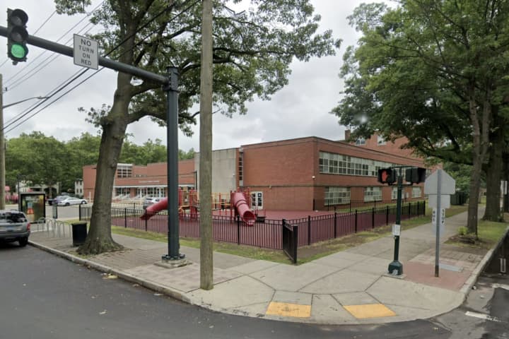 Children Bit, Scratched By Wandering Dog At CT School