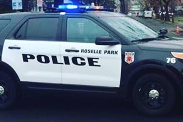 Wrong-Way Driver Of Stolen Car Apprehended After Pursuit: Roselle Park PD