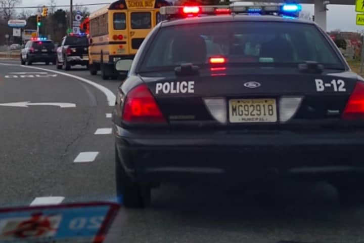 K-9 Dog, Police Officer Struck By Fleeing Stolen Car In Atlantic City