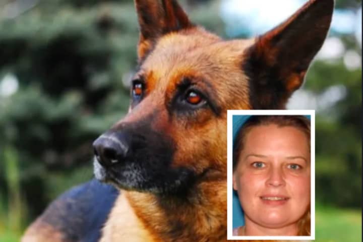 NJ Woman Indicted On Animal Abuse Charges After Dogs Found Abandoned For Days: Authorities