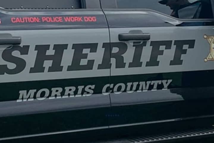 3 Busted In Car Burglary Spree Throughout Morris County Parks
