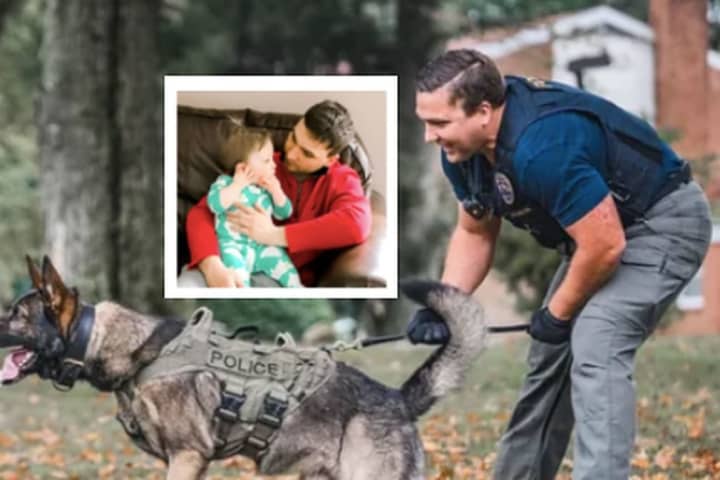 PA K9 Officer Dies After Suffering Brain Injury Caused By Bee Sting