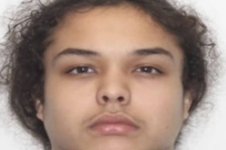 Statewide Alert Issued By Police For Teen Murder Suspect At-Large In NY