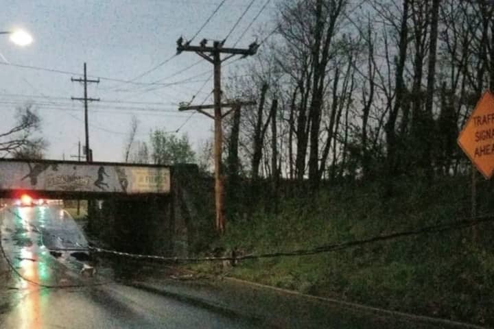 Limited NJ Transit Service Resumes On Northeast Line Disrupted By Downed Wires