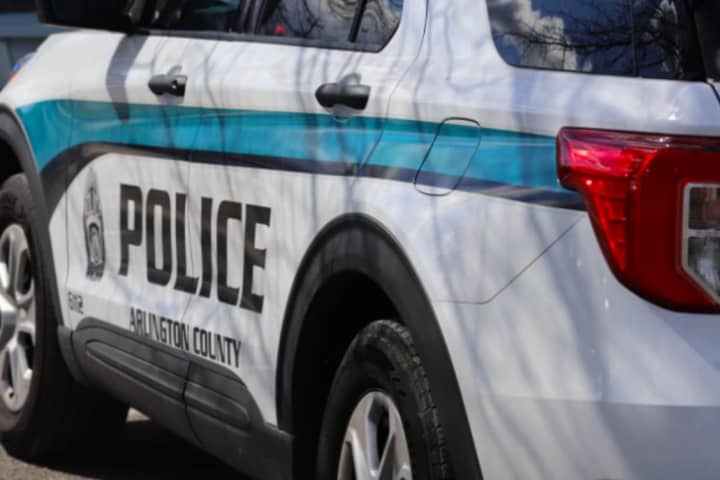 Police Subdue Elderly Arlington Woman Who Fired Gun: Police