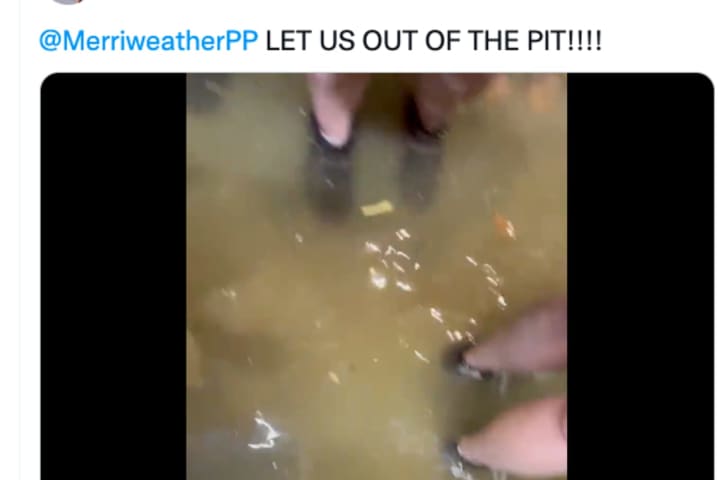 Halsey, Fans Slam Merriweather Post Pavilion After Flooding Cancels Show