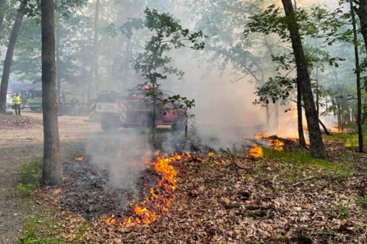 Wildfire Burns 2,100 Acres Of NJ's Wharton State Forest