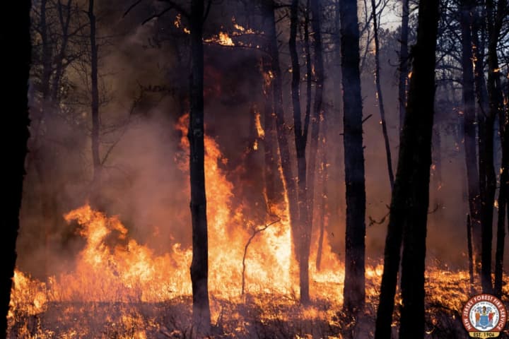Wildfire In South Jersey Consumes 315 Acres, Fully Contained