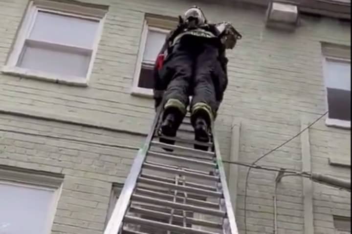 Video Shows Firefighters Rescuing Adult, Child Trapped In Burning DC Building